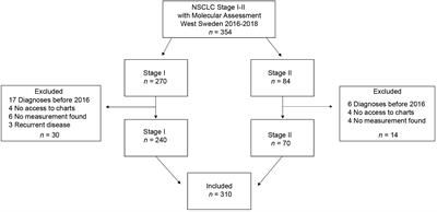 Assessing the prognostic value of KRAS mutation combined with tumor size in stage I-II non-small cell lung cancer: a retrospective analysis